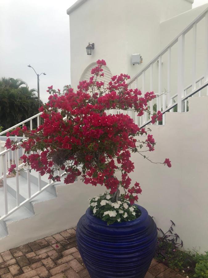 Naples Dream At Wtc With Heated Pool Spa Sauna 7 Bicycles And 3 Mls To Beach Экстерьер фото